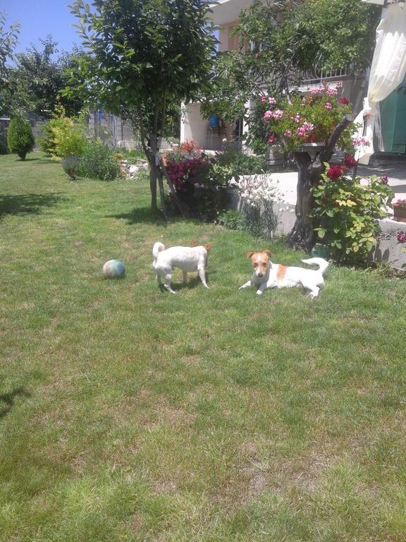 Ferienwohnung Stai Za Gosti Bazdarovi Byala  Exterior foto